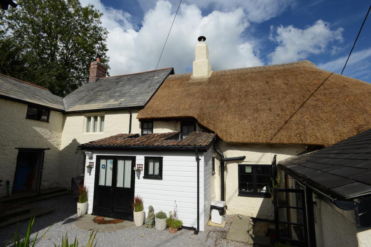 Rose Farm Bed & Breakfast Honiton Dış mekan fotoğraf