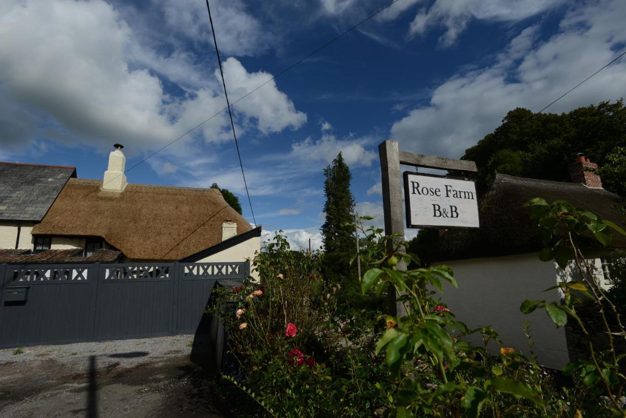 Rose Farm Bed & Breakfast Honiton Dış mekan fotoğraf