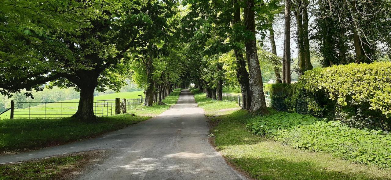 Rose Farm Bed & Breakfast Honiton Dış mekan fotoğraf