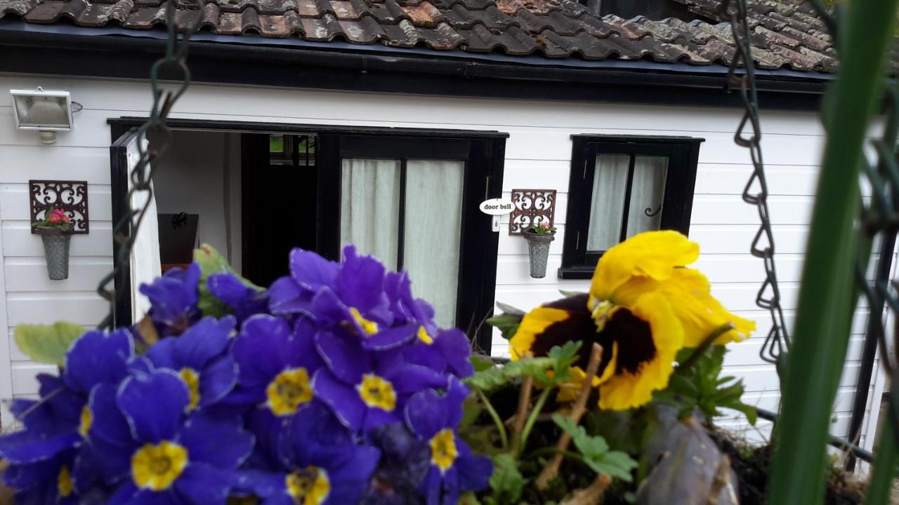 Rose Farm Bed & Breakfast Honiton Dış mekan fotoğraf
