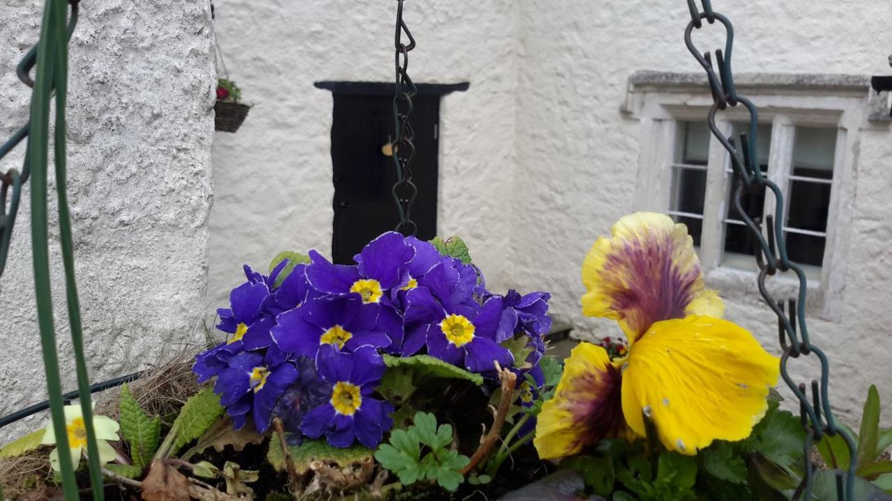 Rose Farm Bed & Breakfast Honiton Dış mekan fotoğraf
