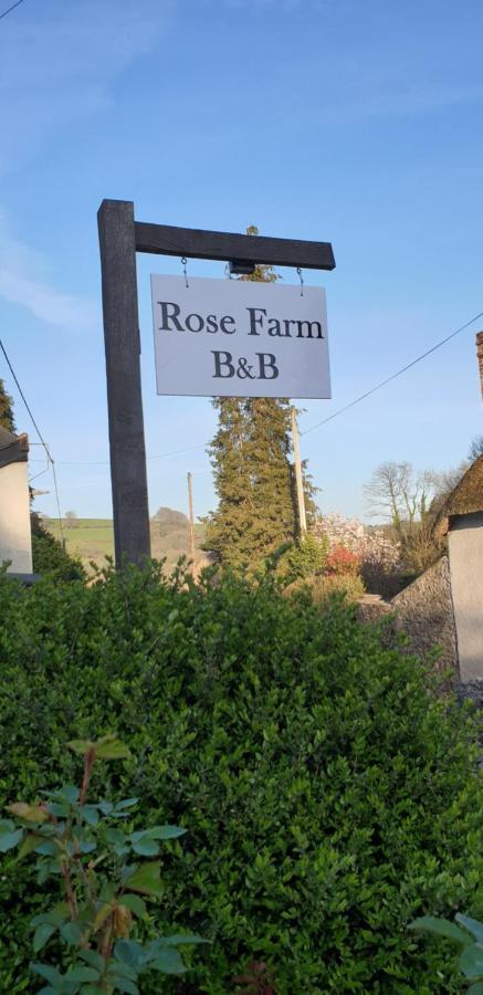 Rose Farm Bed & Breakfast Honiton Dış mekan fotoğraf