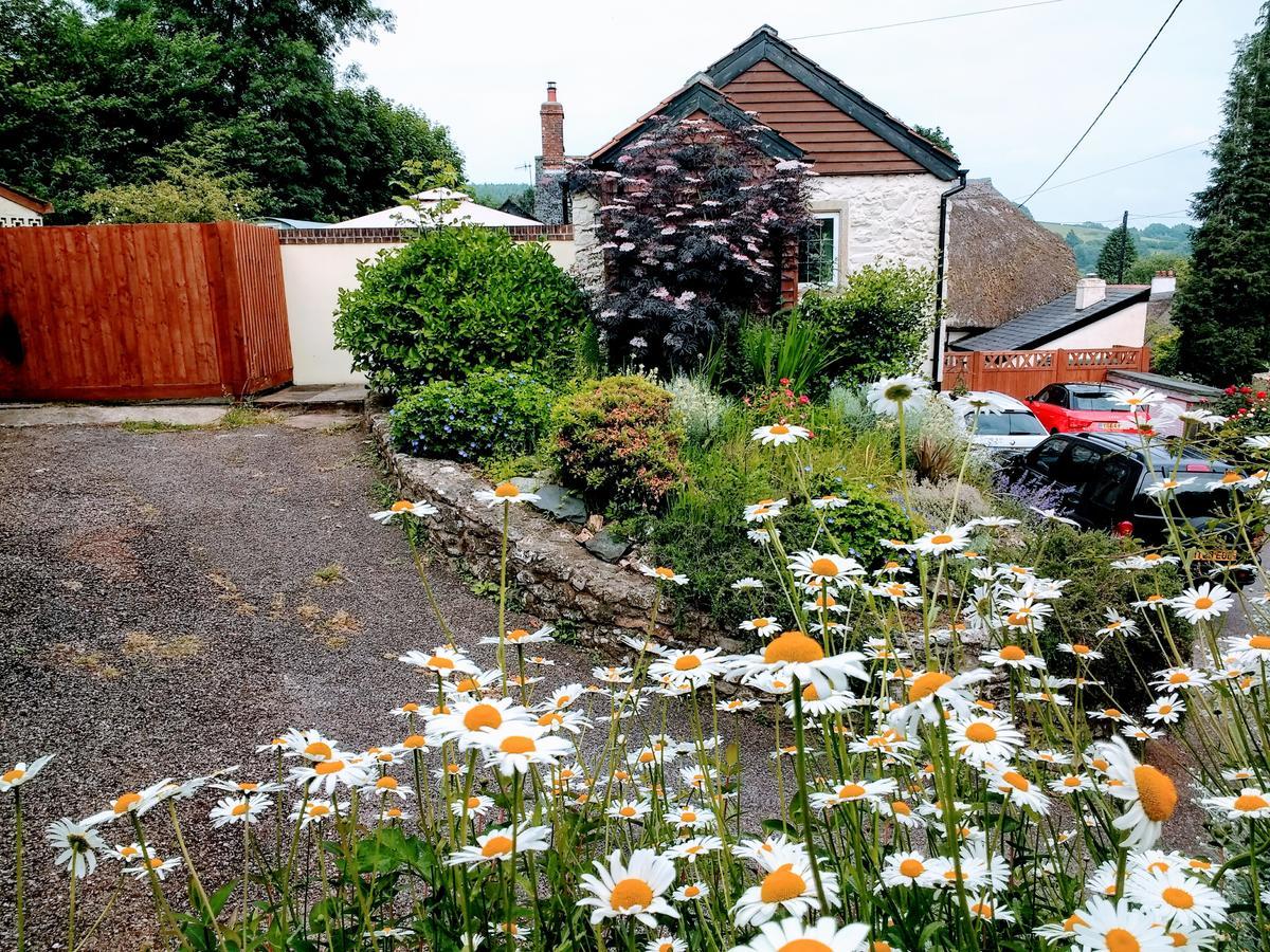 Rose Farm Bed & Breakfast Honiton Dış mekan fotoğraf