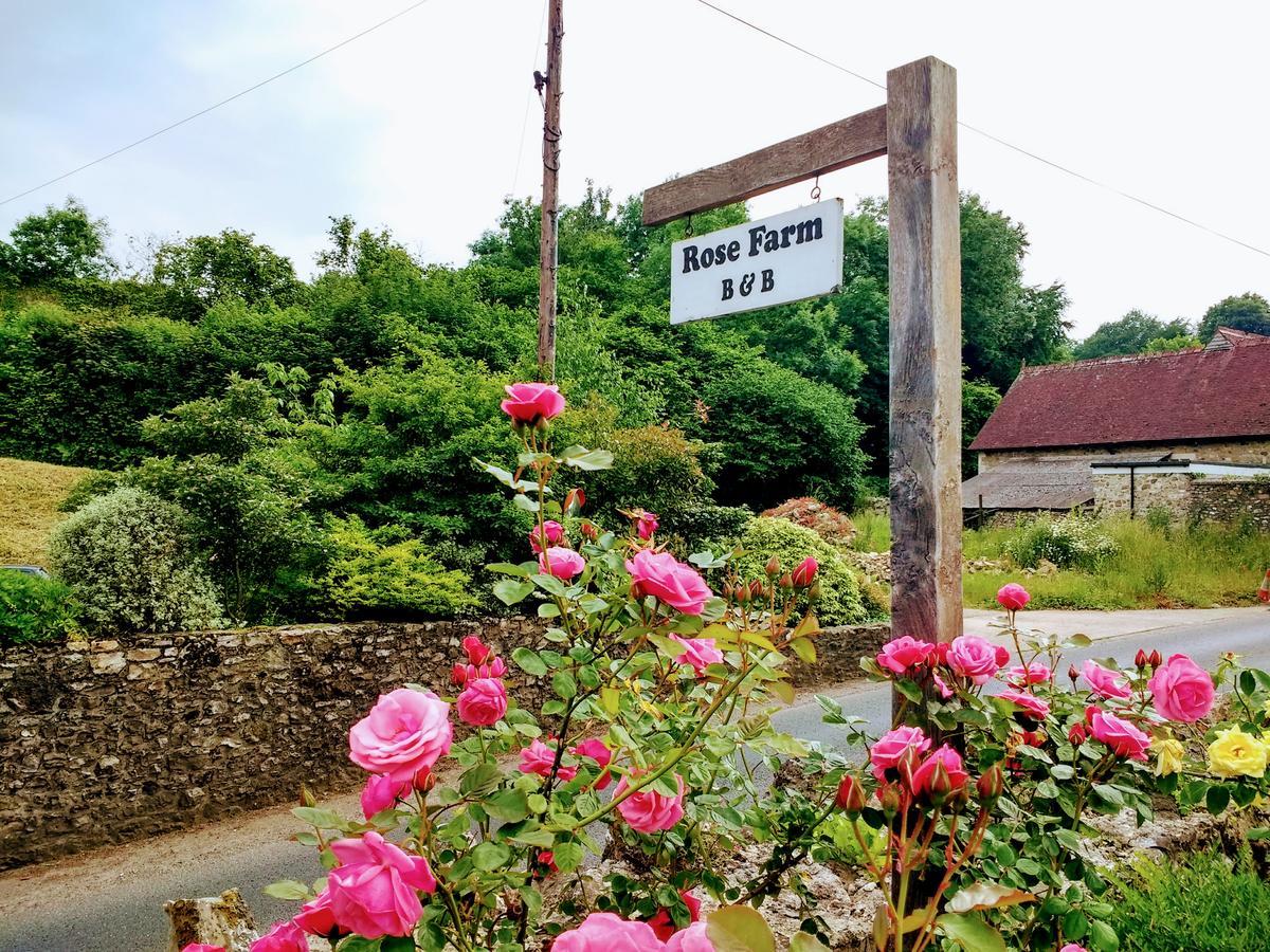 Rose Farm Bed & Breakfast Honiton Dış mekan fotoğraf